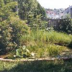 029_teich