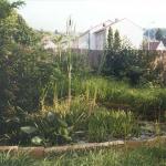 033_teich