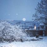 036_schnee