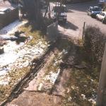 084_garten