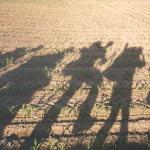 022_schatten