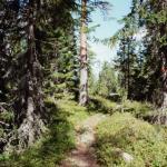 073_schweden_2005