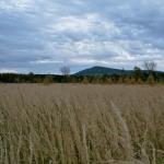 017_herbstfahrt_2006_tschechien