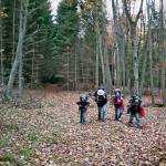 019_herbstfahrt_2006_tschechien