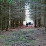 020_herbstfahrt_2006_tschechien