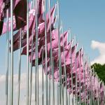 234_world_scout_jamboree_2007