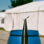 477_world_scout_jamboree_2007