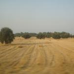 085_sommerfahrt_italien_2007