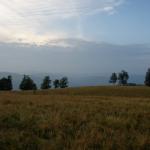 SONY DSC