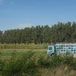 SONY DSC