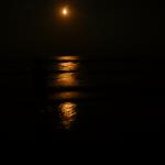 SONY DSC