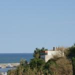 SONY DSC