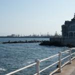 SONY DSC