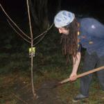 014_baumpflanzaktion_2011