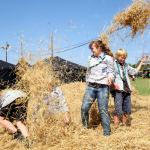 149_vcp_bundeslager_2014